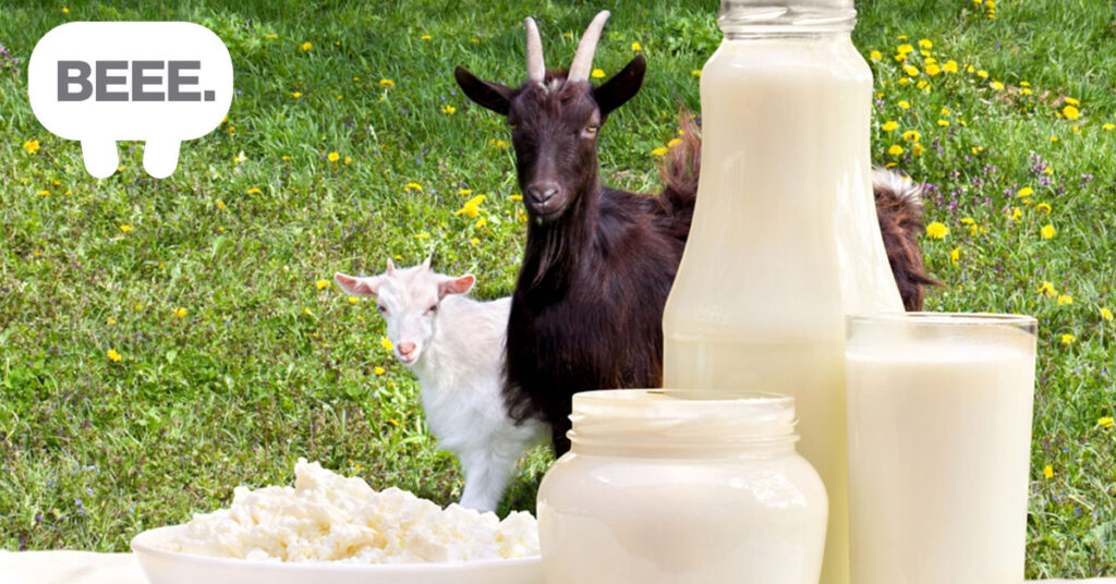 Queso de cabra ecológico